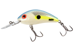 Воблер плавающий Salmo HORHET Rattlin F / 5.5 см, цвет SXS