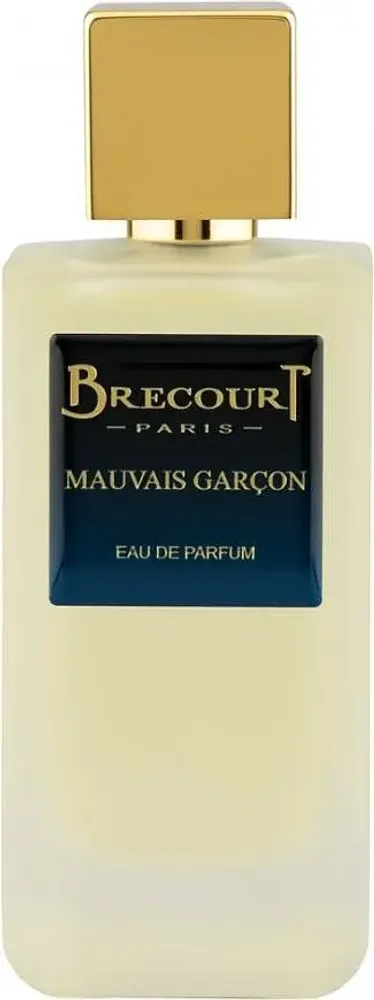BRECOURT MAUVAIS GARCON EDP 100 ML + 4 X 6 ML