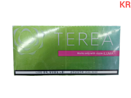Terea Zing wave (Green zing) - табак с цитрусовыми, пряными травами и ментолом - Корея (блок - 10 пачек)