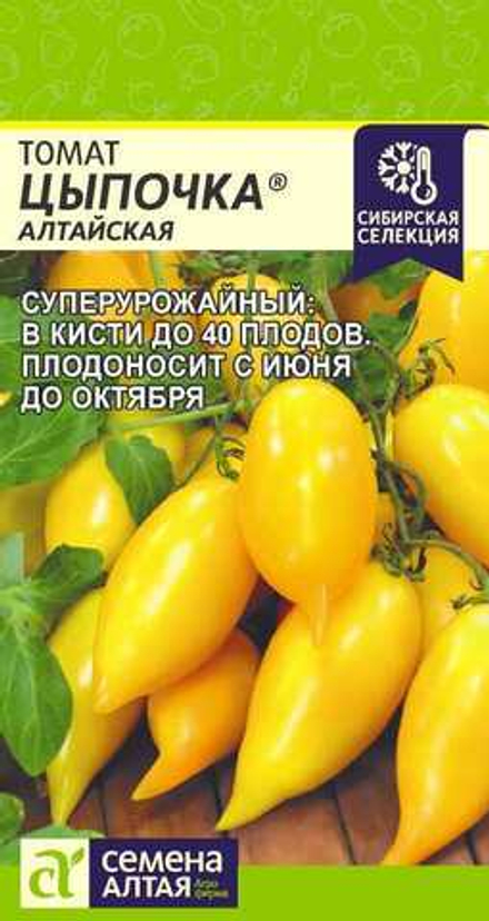 Томат Цыпочка Алтайская 10 шт Семена Алтая