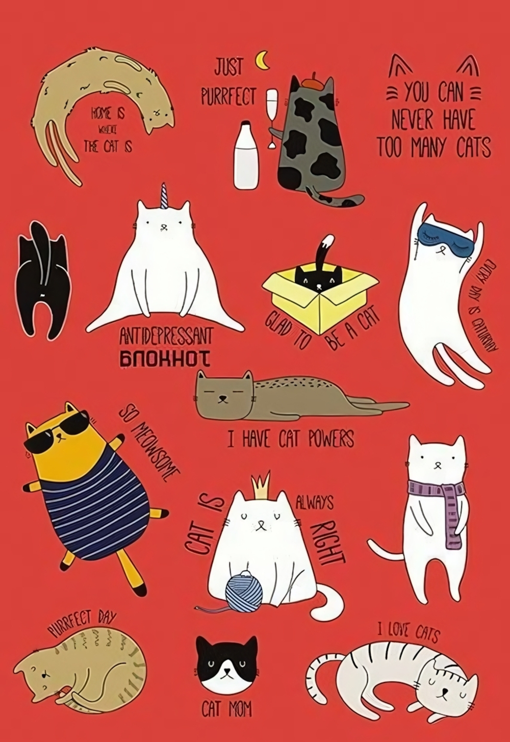 Блокнот на гребне А5, 100л. "Прикольные кошки" (Апплика)