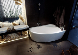 Акриловая ванна Aquatek (Акватек) Фиджи 170x110 R, с каркасом, с фронтальной панелью, со сливом-переливом