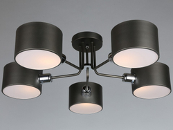 Накладная люстра Omnilux OML-54507-05