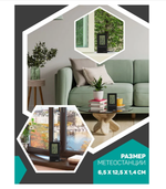 Часы-метеостанция Perfeo PF-S3331F