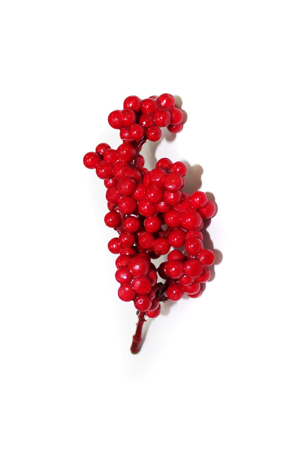 Гроздь мелких ягод