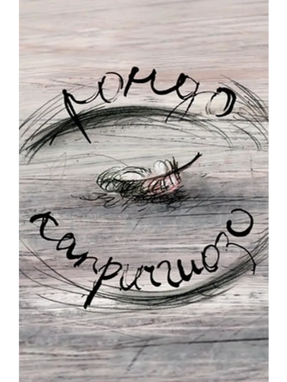 Рондо каприччиозо (2014) (КИНО USB)