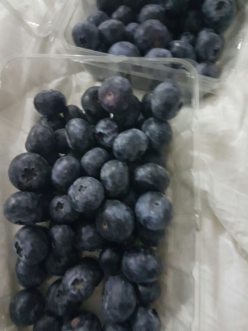 Голубика ("садовая") -Перу