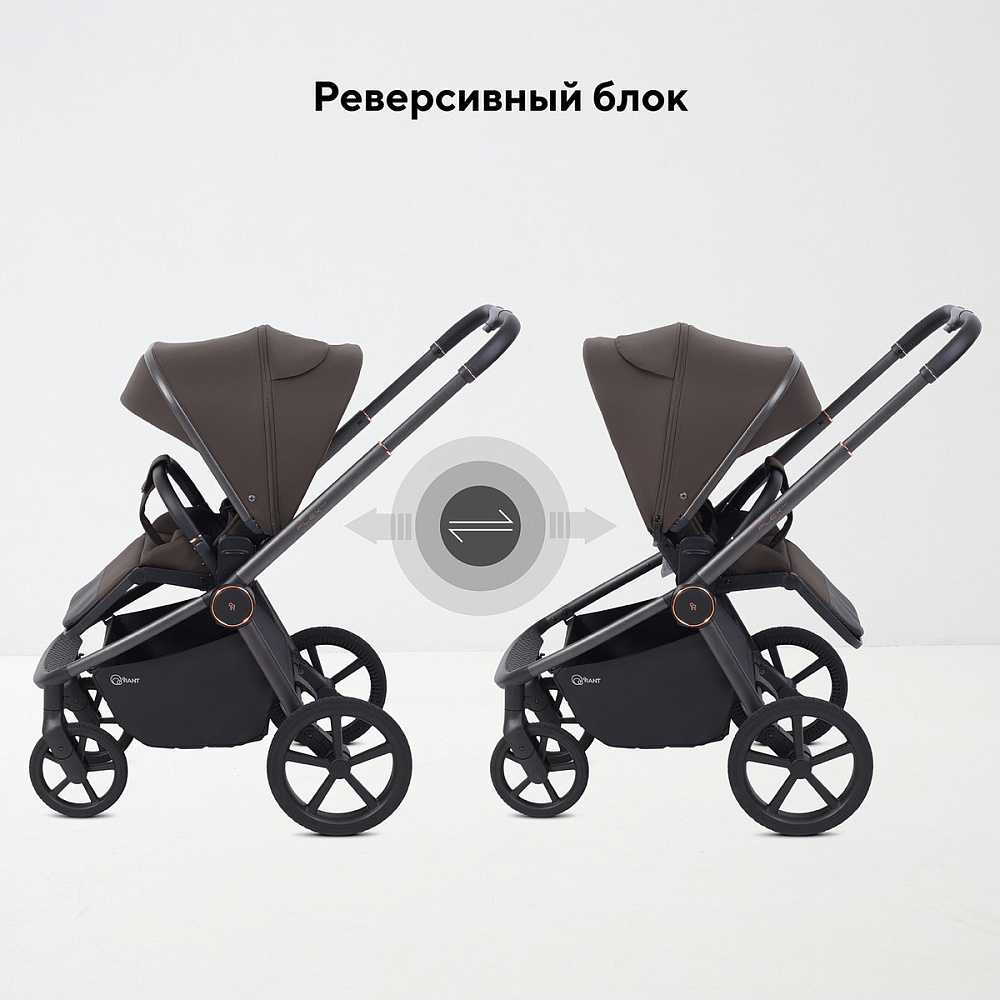 Детская коляска Rant Flex Therm Soft 3 в 1 с автокреслом Evomax Grey Shine Brown