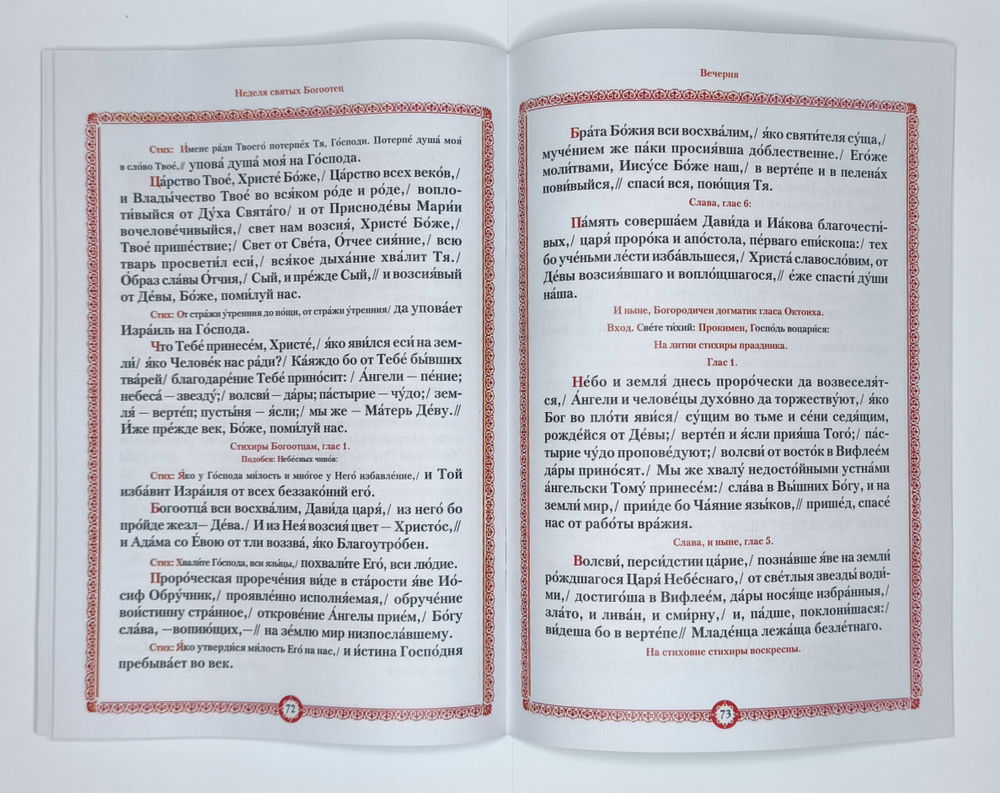 №248 Воскресные отеческие службы в предпразднство и попразднство Рождества Христова