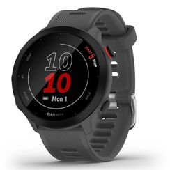 Умные часы Garmin Forerunner 55 серые (010-02562-13)