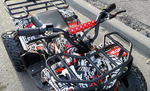 Квадроцикл PROMAX E-MINI 2.0 1000W