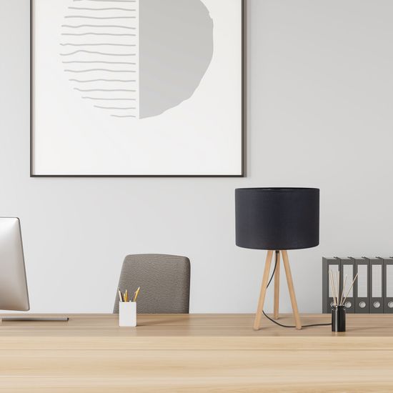 5293 / настольный светильник / Tokyo