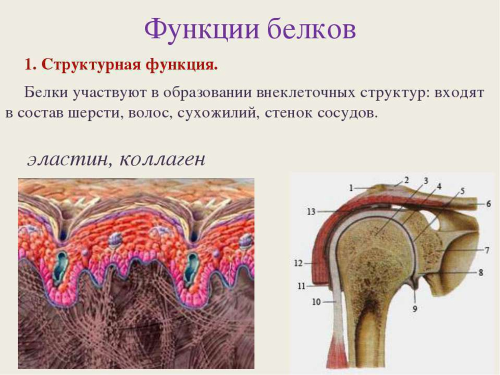 Коллаген говяжий (MegaProtein ST)