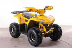 Квадроцикл GreenCamel Гоби K90 (48V 750W R7 Дифф) LUX Bluetooth