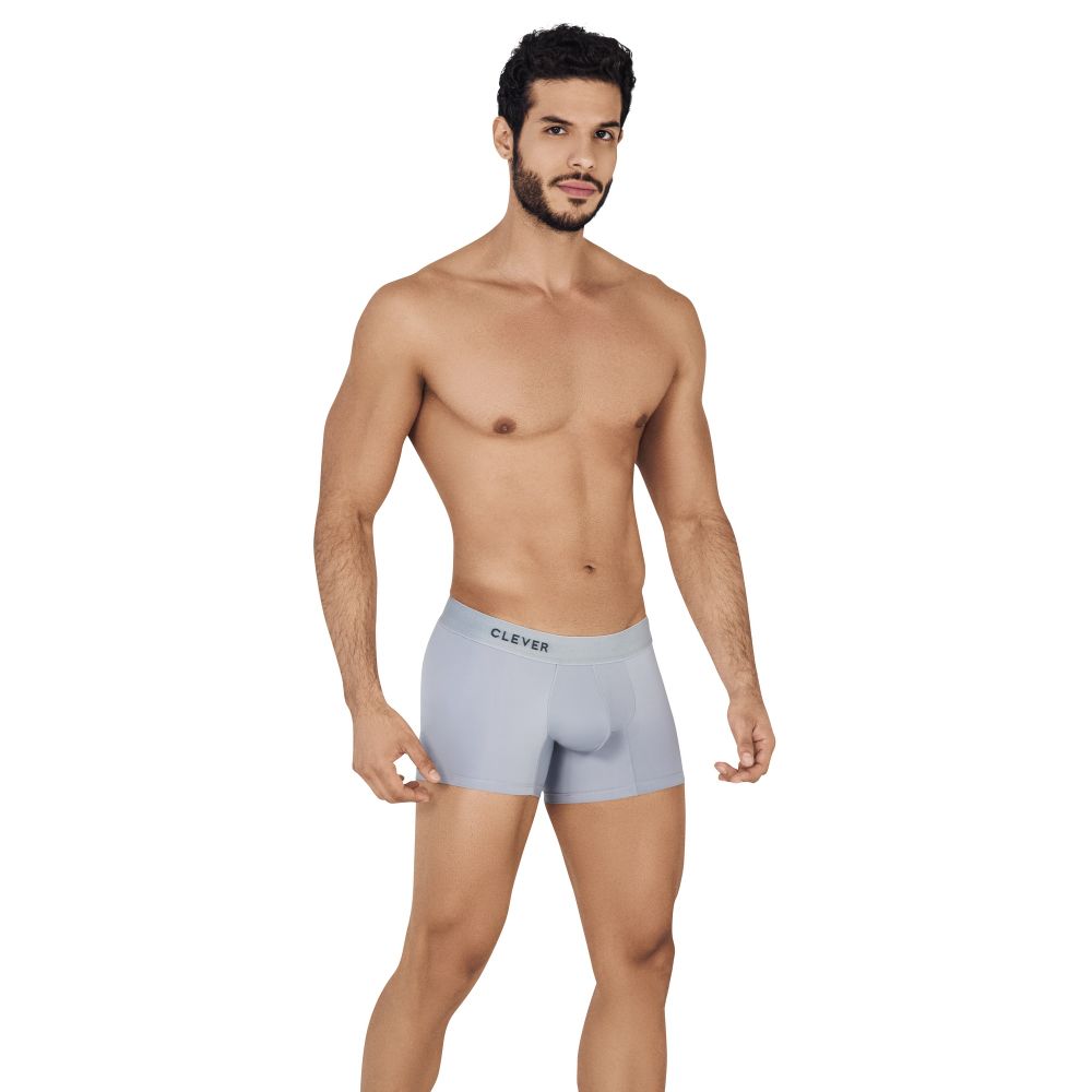 Мужские трусы боксеры серые Clever WARM BOXER 053213
