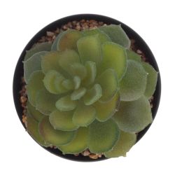 GAEM Цветочная композиция "Суккулент", L10 W10 H12 см