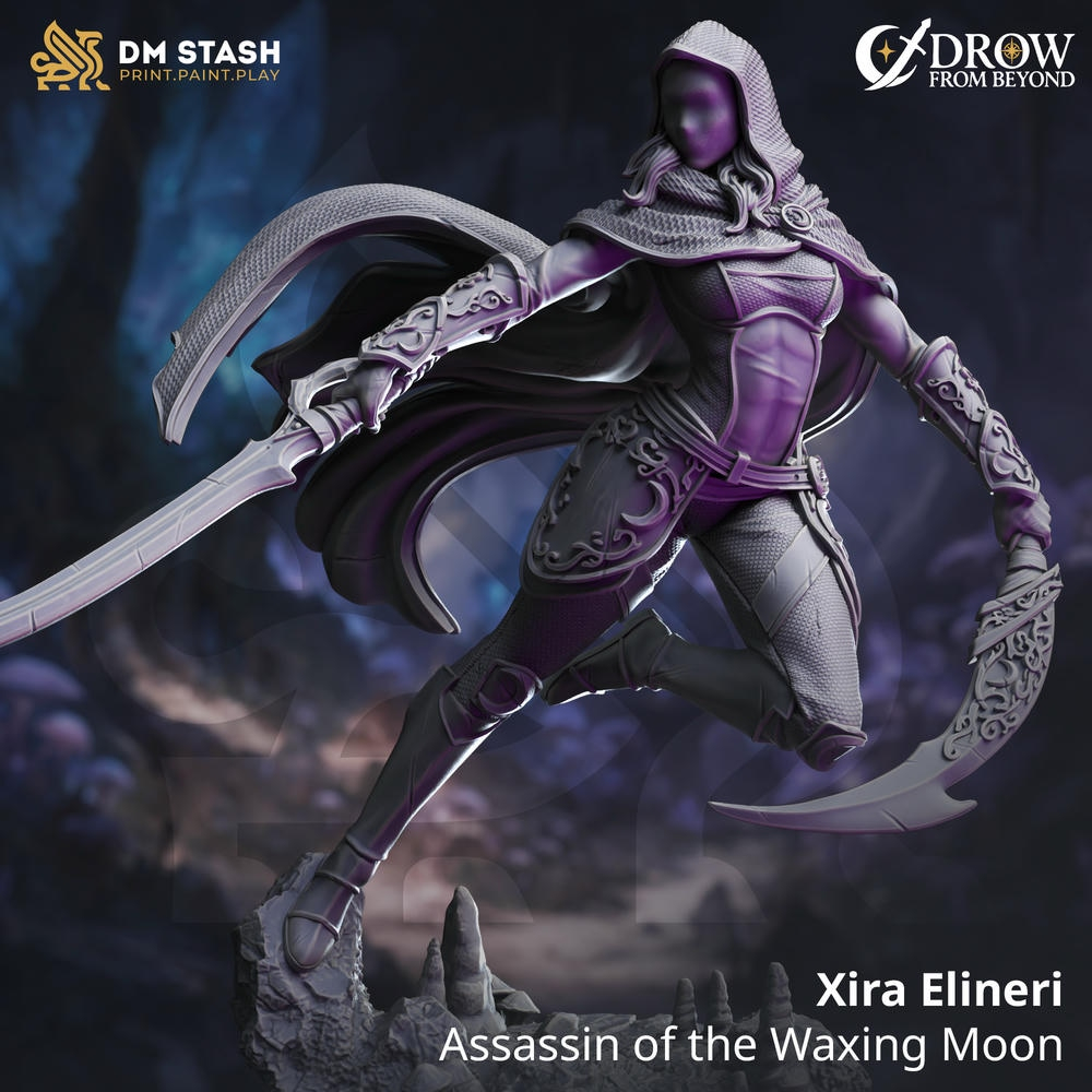 Ксира Элинери Бесшумная — Тёмный Плут