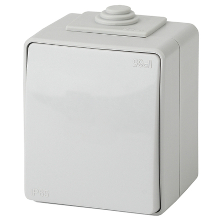 Выключатель ЭРА Эксперт 11-1601-03 IP65 10АХ-250В ОУ серый