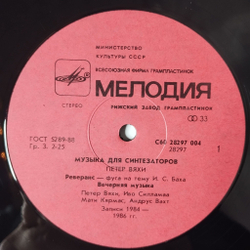 Винтажная виниловая пластинка LP Peeter Vahi Петер Вяхи Music For Synthesizers Музыка Для Синтезаторов (СССР 1989)