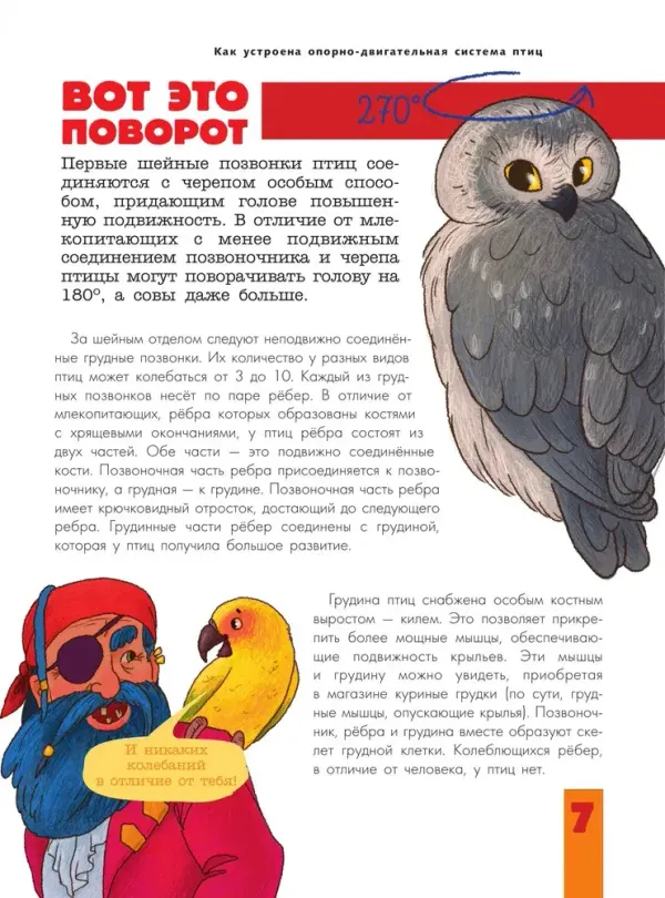 Птицы. Биология. Физиология