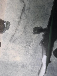 Бампер задний Mazda CX-5 1 (2011-2017)