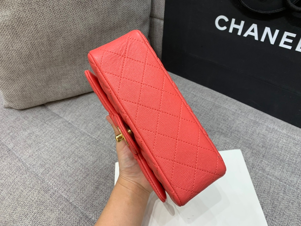 Chanel Bag 20 cm
