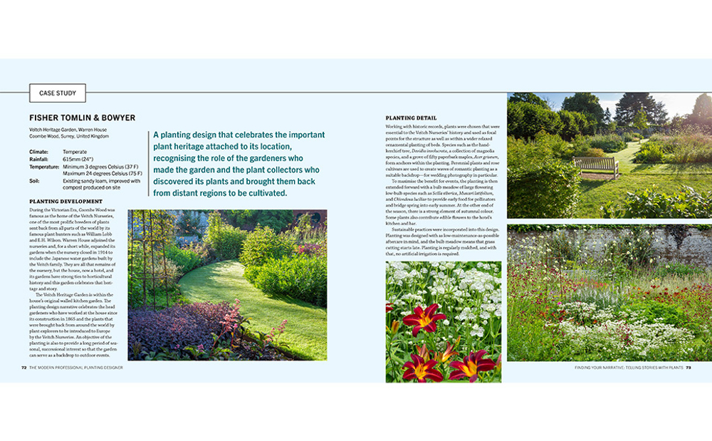 Modern professional planting designer