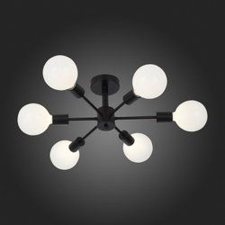 Светильник потолочный Evoluce Ano SL419.402.06