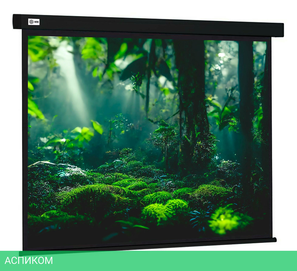 Проекционный экран Cactus CS-PSW-213X213-BK черный