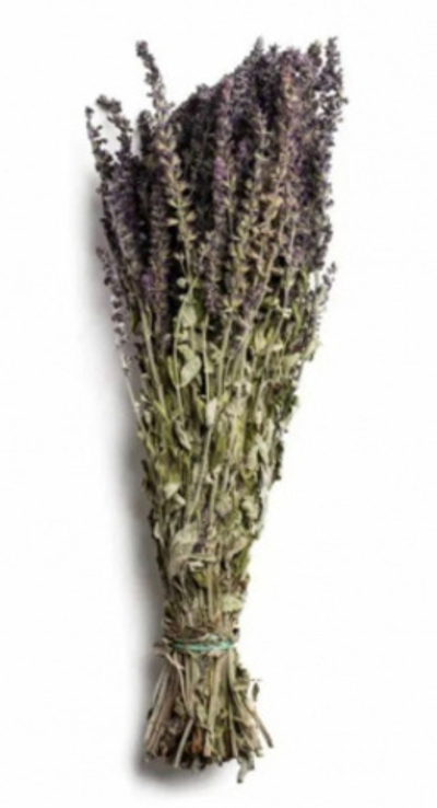 Трава-запарник(Шалфей)