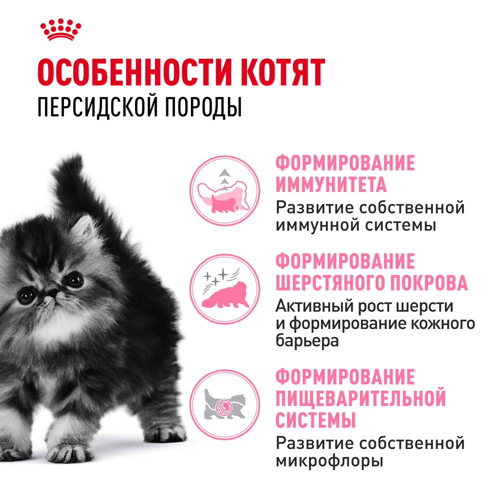 Royal Canin Persian Kitten Корм сухой сбалансированный для персидских котят 2 кг