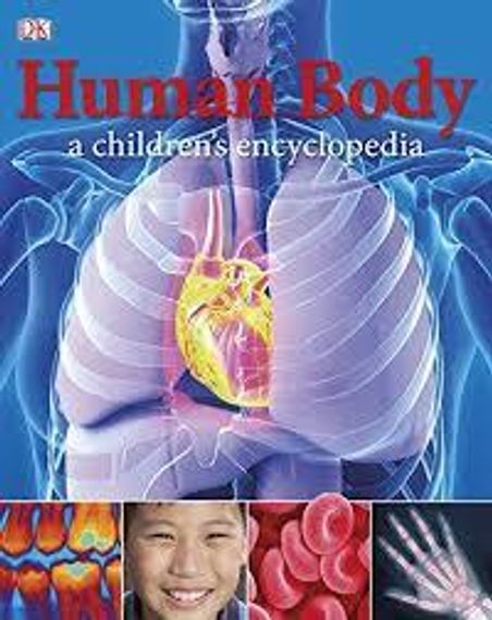 Human Body