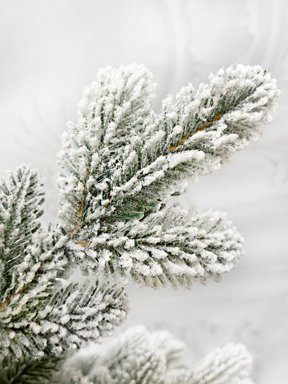 Ель TreeDeLuxe Полярная 210см заснеженная