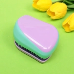 Расческа массажная компактная «Harizma», цвет сиреневый/мятный, в пластиковой коробке, 8*6 см