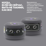 Умная колонка Яндекс Станция Лайт 2 YNDX-00028 серый