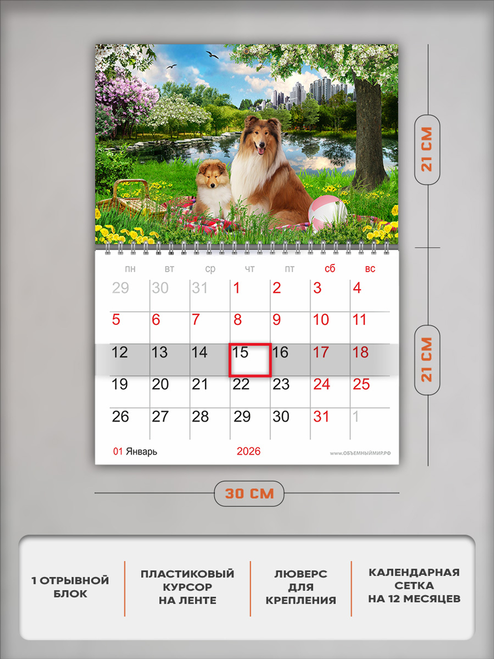 Настенный отрывной календарь "Собаки колли"
