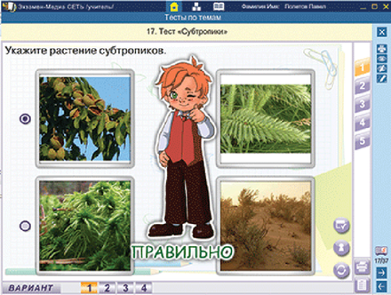 Сетевая версия. Тесты. Окружающий мир. 4 класс