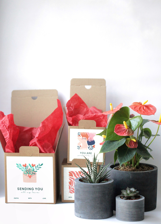 Набор из 3х бетонных кашпо разной высоты с растениями