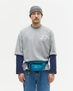 Поясная сумка Anteater Waistbag-RSt-Corsair