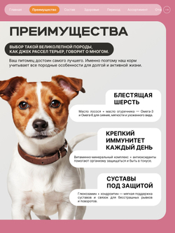 Корм сухой для взрослых собак породы Джек Рассел Терьер, с индейкой, 800 гр, QUATTRO