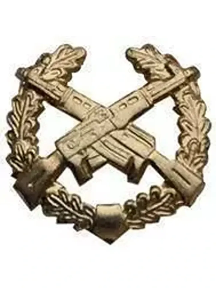 Эмблема петличная Мотострелковые войска металл золото