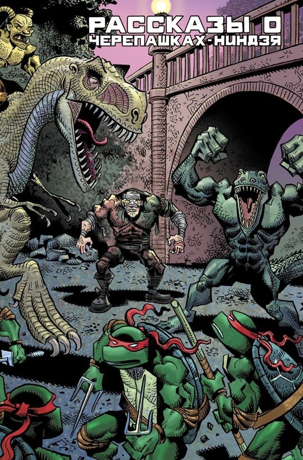 Комикс Рассказы о Черепашках-Ниндзя. Том 1