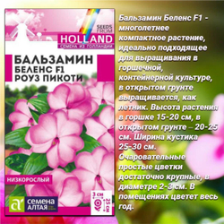 Шикарные сорта бальзамина Беленс: Ред, Роуз пикоти, Вайт