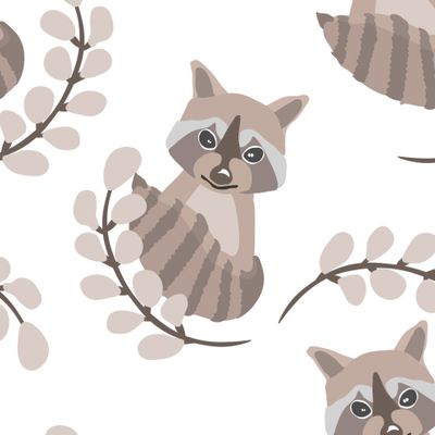 Коричневые еноты на белом фоне