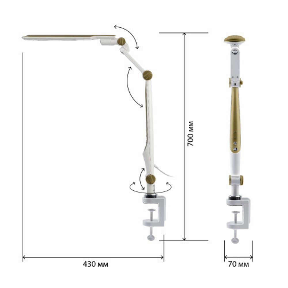 Настольный светильник ЭРА NLED-496-12W-G светодиодный на струбцине золото