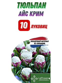 Тюльпан Луковица, Айскрим, 10шт, Нидерланды