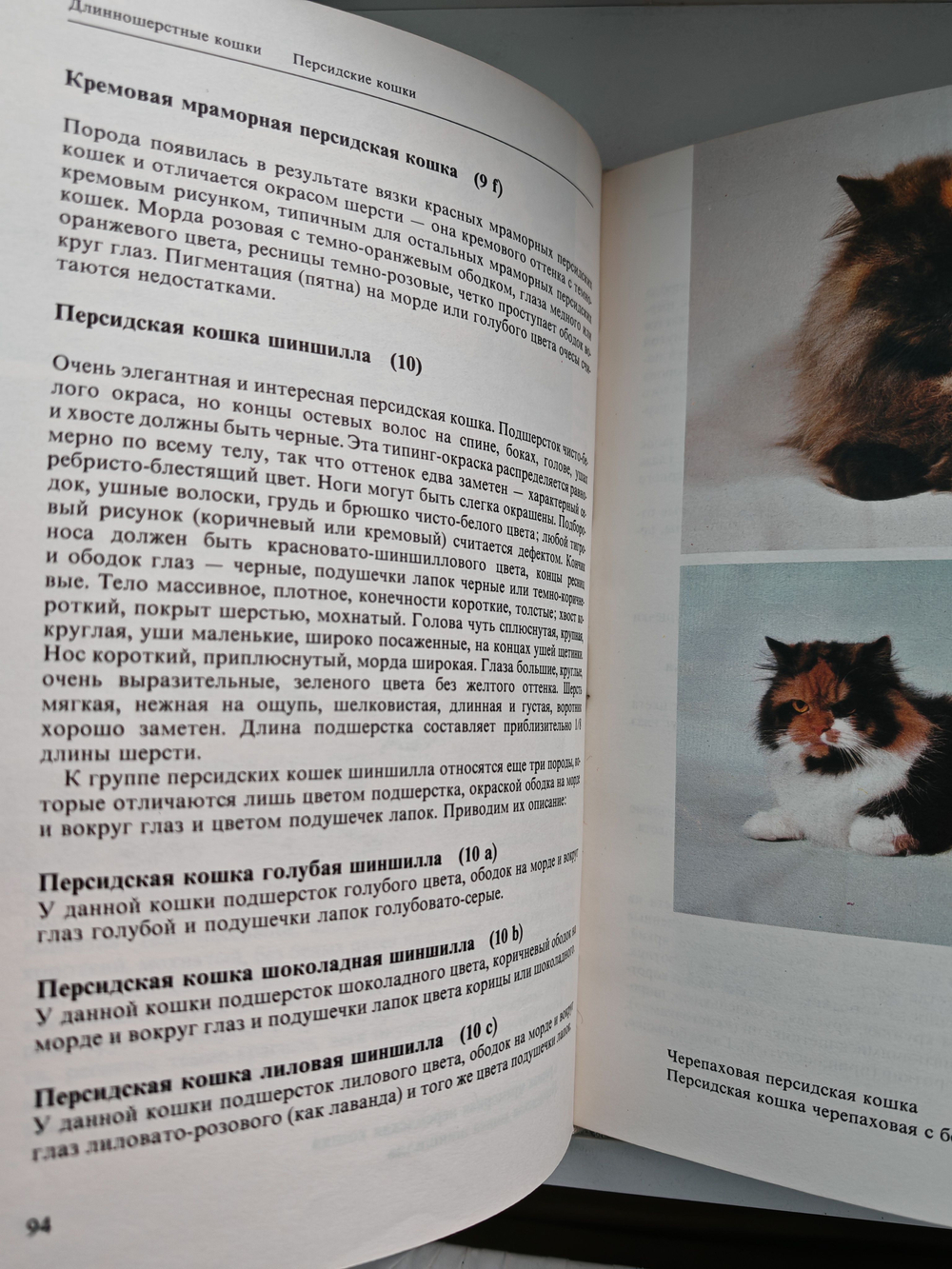 Атлас пород кошек