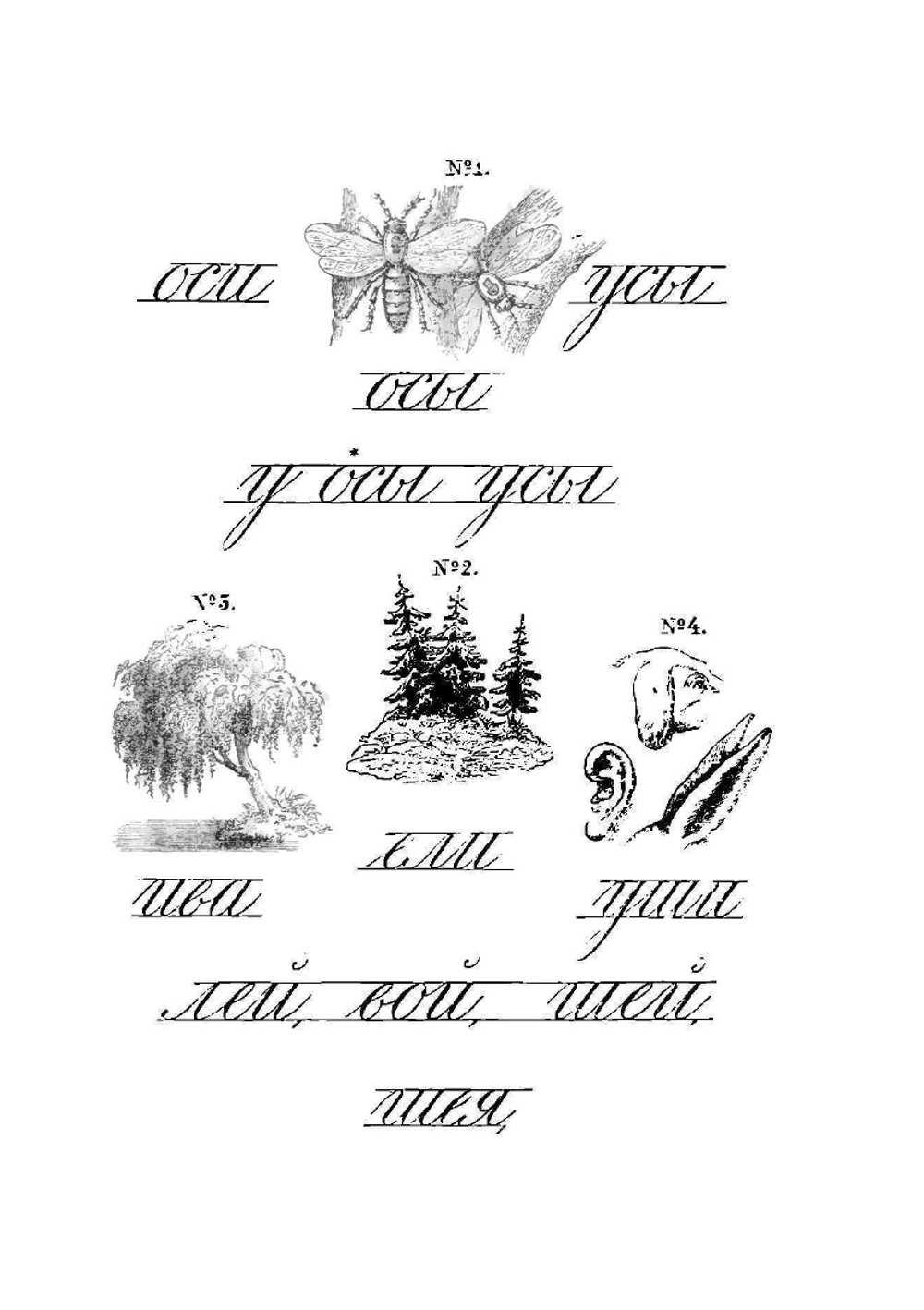 Родное слово для детей младшего возраста. Том 1 | К.Д. Ушинский