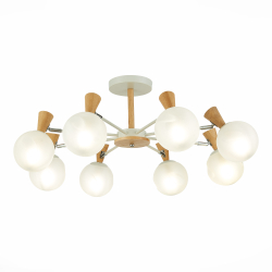 Светильник потолочный Evoluce Catania SLE220702-08