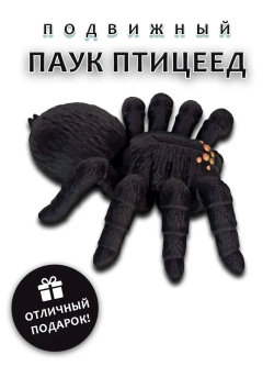 Паук
